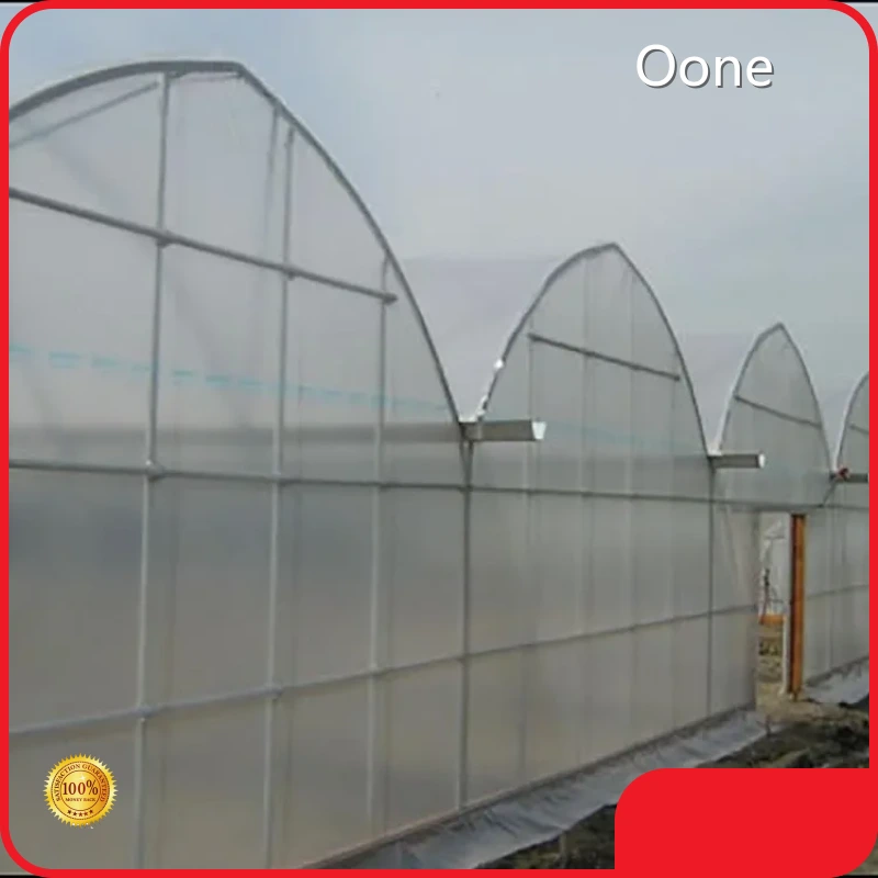 Multi Span Greenhouse Design Visa by Oone 1
