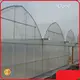 Multi Span Greenhouse Design Visa by Oone 1