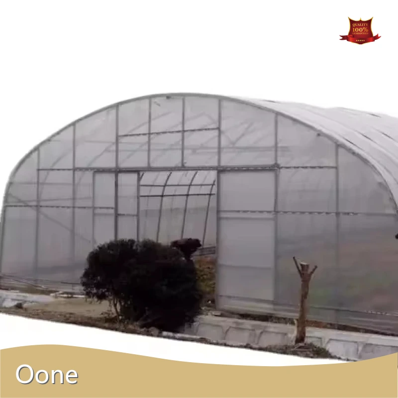 High Tunnel Greenhouse Plastic 8m - - Oone 1