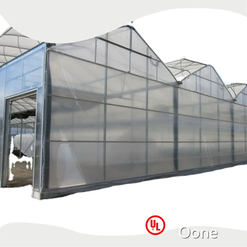 Large Glass Greenhouse for Sale Long and Staggered Wholesale - Oone 1