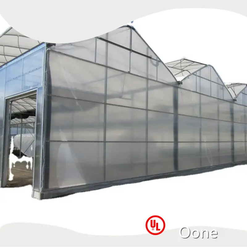 Large Glass Greenhouse for Sale Long and Staggered Wholesale - Oone 1