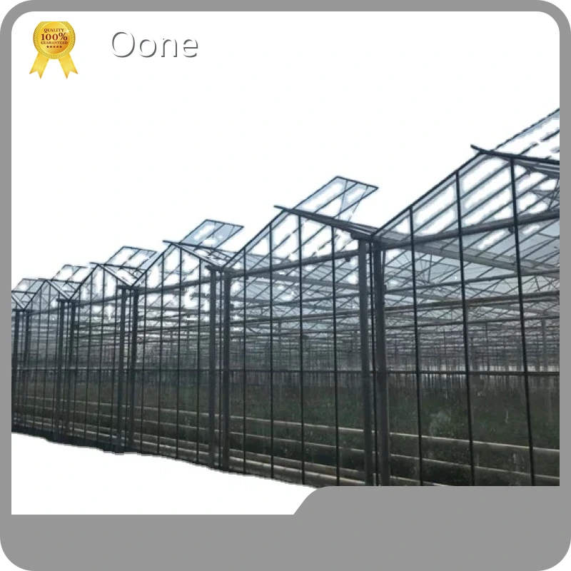 8x6 Glass Greenhouse Velon Multi-span Glass Greenhouse - - Oone 1