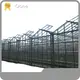 8x6 Glass Greenhouse Velon Multi-span Glass Greenhouse - - Oone 1