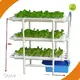 Indoor Garden System 2/4/6/8 - - Oone 1
