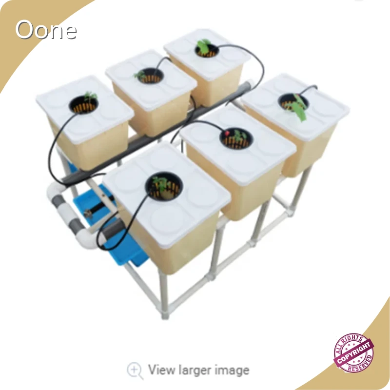 Dutch Bucket Price Pump - - Oone 1