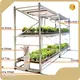 Indoor Vertical Farming System Customization Wholesale - Oone 1