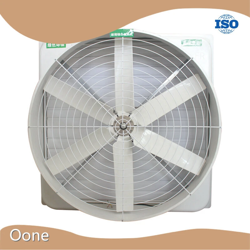 Greenhouse Manufacturer 146*146*59 Wholesale - Oone-1 1