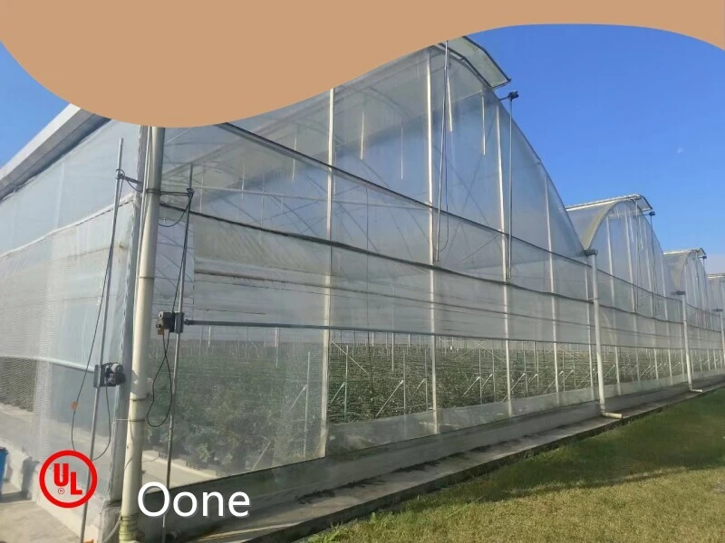 Multi Span Greenhouse Customized by Oone 1