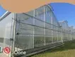 Multi Span Greenhouse Customized by Oone 1