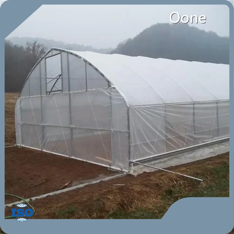 Tunnel Greenhouse Kit Steel Tube; Galvanised for Surface Wholesale - Oone 1