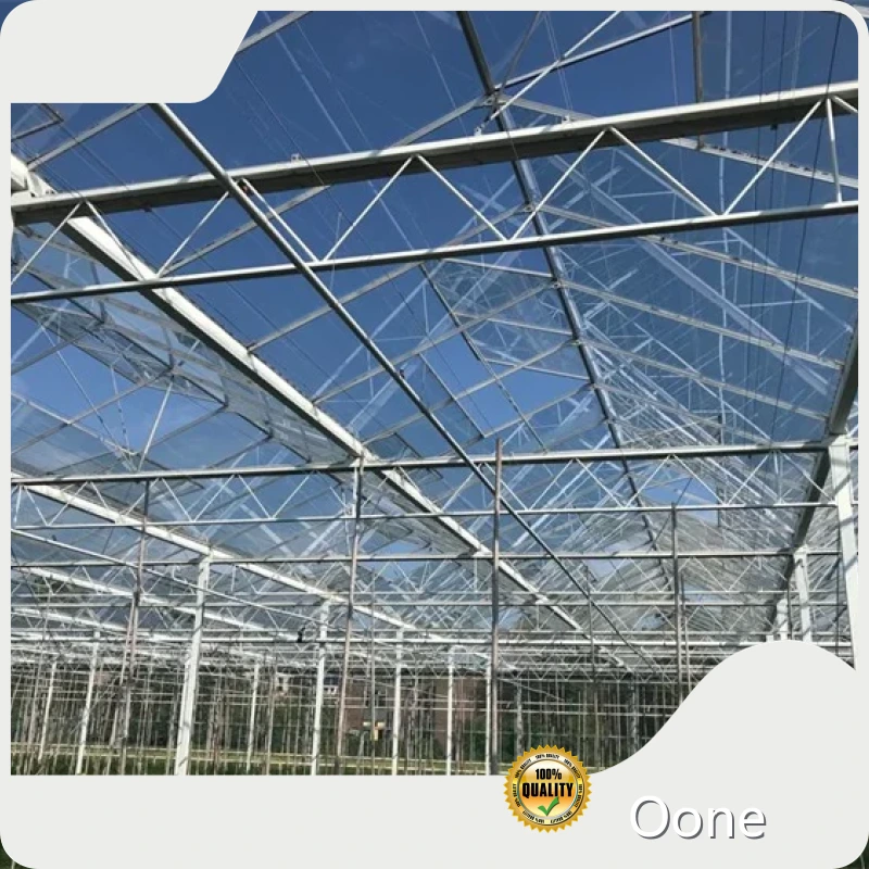 Buy Glass Greenhouse Yes by Oone 1