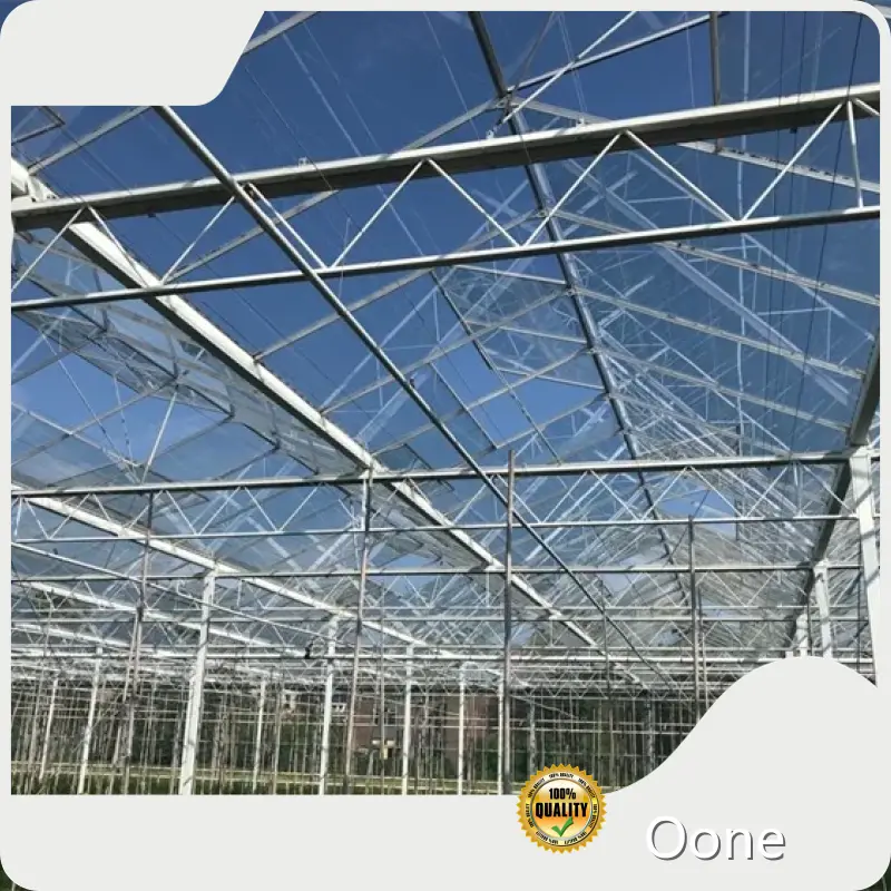 Buy Glass Greenhouse Yes by Oone 1