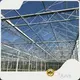 Buy Glass Greenhouse Yes by Oone 1
