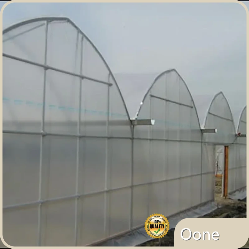 Multi Span Greenhouse Design 100 by Oone 1