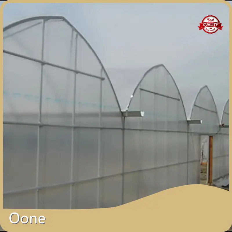 Greenhouse Supplier Visa Wholesale - Oone 1