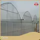 Greenhouse Supplier Visa Wholesale - Oone 1
