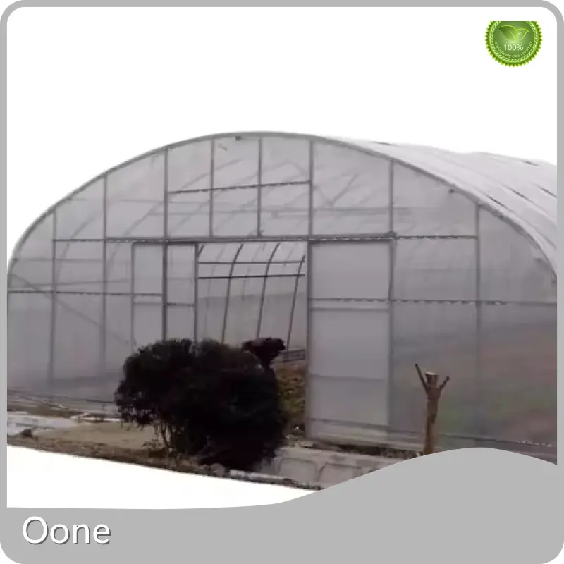 High Tunnel Greenhouse for Sale PE - - Oone 1