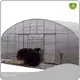 High Tunnel Greenhouse for Sale PE - - Oone 1