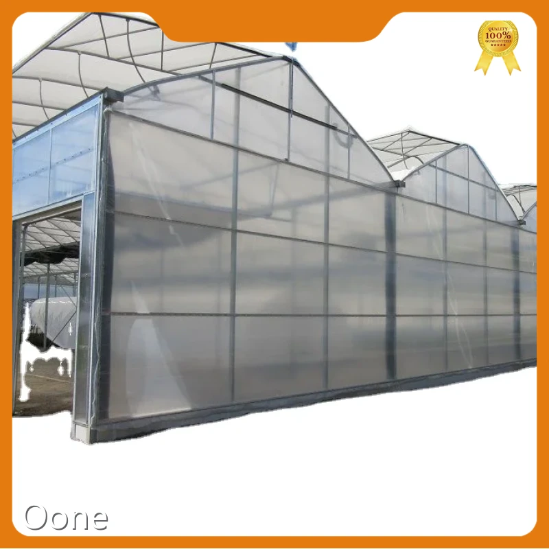 Economical Greenhouse Multi-Span Agricultural Greenhouses Wholesale - Oone 1