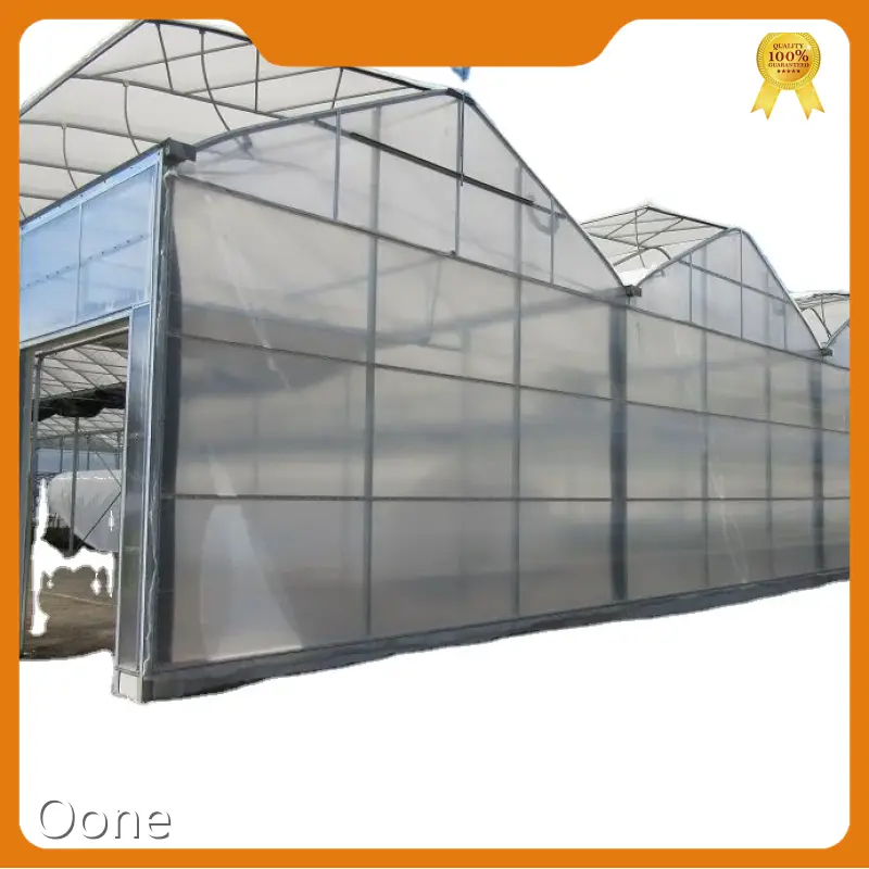 Economical Greenhouse Multi-Span Agricultural Greenhouses Wholesale - Oone 1