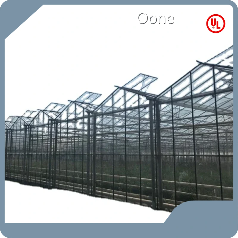 Glass Green Houses Customizable Wholesale - Oone 1