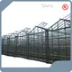 Glass Green Houses Customizable Wholesale - Oone 1