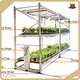 Hydroponic Rack Design 4ft X 8ft Vertical Medical Plants Grow Rack System for Indoor Farming - - Oone 1
