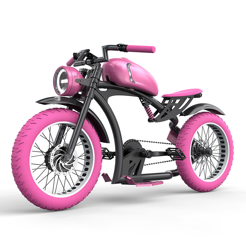 大人用バッテリー電動バイク & 自転車メーカー - Ying Hao