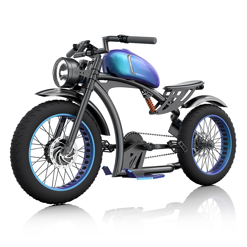 성인 ebike를 위한 48v/13 Ah 배터리 전기 오토바이 자전거 헬기 Ebike 전기 자전거 1