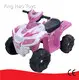 現代ATV QUAD ATV四邊形公司 1