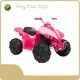 Battery Operated Fourwheeler Factory 1