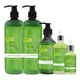 Tea Tree Hair Shampoo and Conditioner Unisex Tea Tree Shampoo and Conditionerseries 5