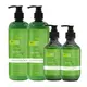 Tea Tree Hair Shampoo and Conditioner Unisex Tea Tree Shampoo and Conditionerseries 4