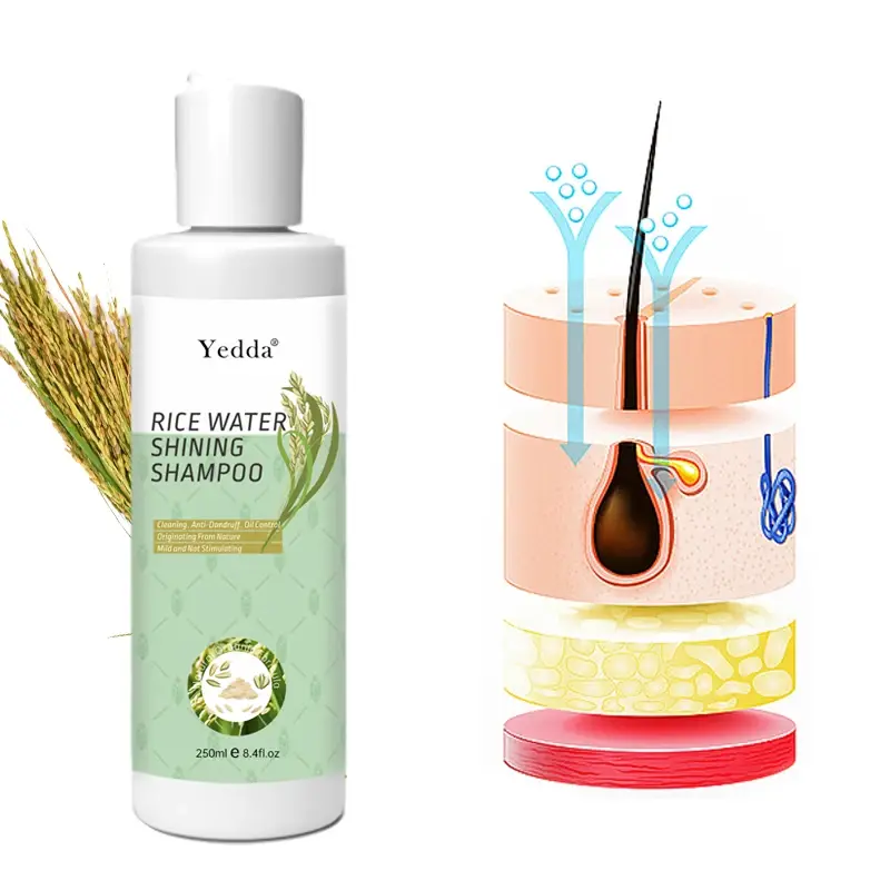 Best Price Moroccan Oil Shampoo and Conditioner Price List 7