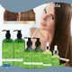 Tree Oil Shampoo and Conditioner Factory Price for HairCream 1