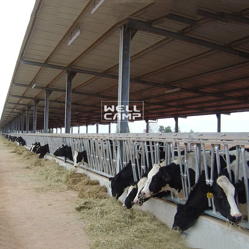 Estábulo com estrutura de aço pré-fabricada de aço leve, Wellcamp S-45 1