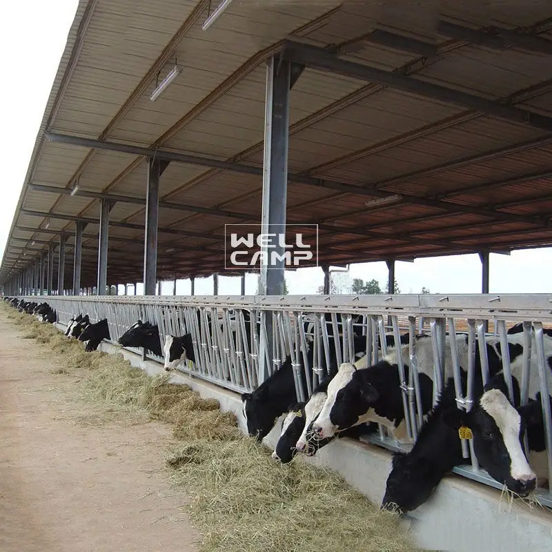 WELLCAMP, WELLCAMP prefab house, WELLCAMP container house Light Steel Prefab Steel Structure Cowshed, Wellcamp S-45 Steel Structure Shed image47