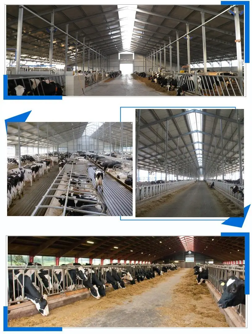 panel steel structure fast install online 10