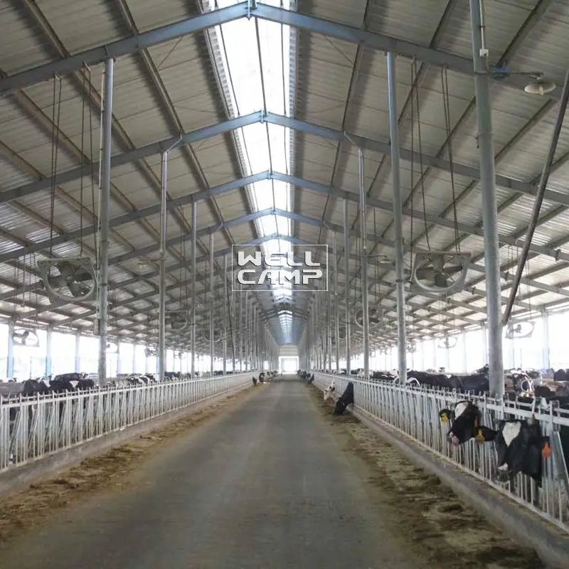panel steel structure fast install online 4