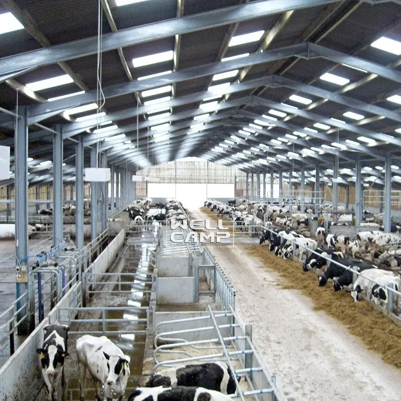 panel steel structure fast install online 2