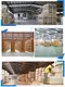 WELLCAMP, WELLCAMP prefab house, WELLCAMP container house span steel warehouse with brick wall for chicken shed 8