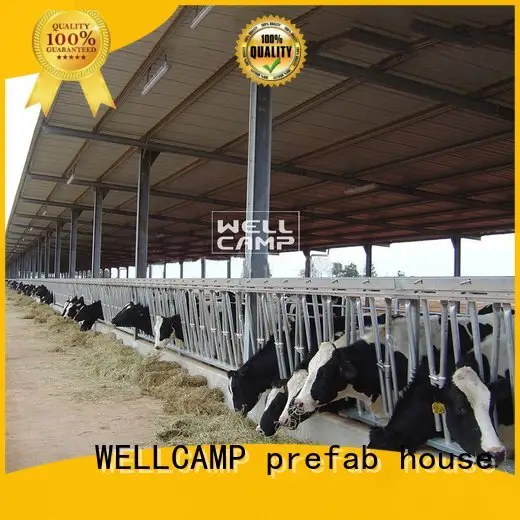wellcamp color steel shed prices 1