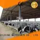 WELLCAMP, WELLCAMP prefab house, WELLCAMP container house steel shed cowshed color wellcamp light 1