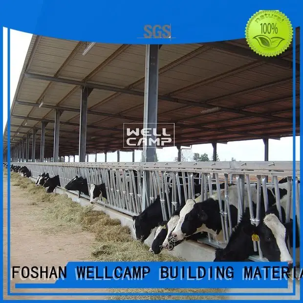 WELLCAMP, WELLCAMP prefab house, WELLCAMP container house Brand cowshed prefab structure steel shed 1