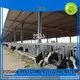 WELLCAMP, WELLCAMP prefab house, WELLCAMP container house Brand cowshed prefab structure steel shed 1