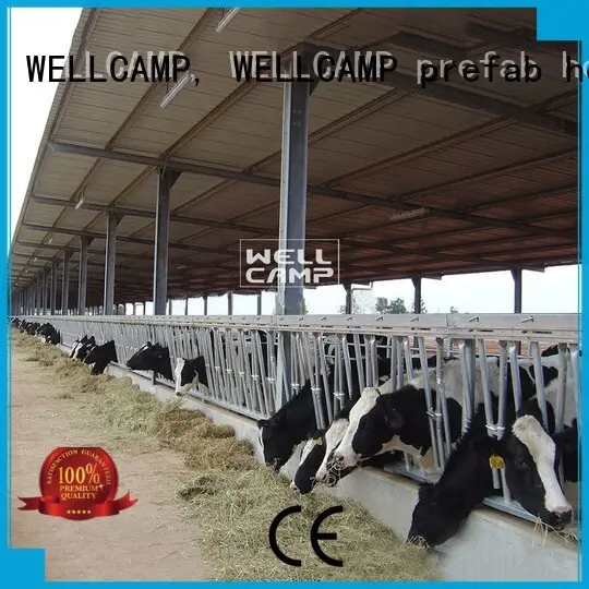 steel shed prices cow panel WELLCAMP, WELLCAMP prefab house, WELLCAMP container house Brand company 1