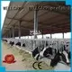 steel shed prices cow panel WELLCAMP, WELLCAMP prefab house, WELLCAMP container house Brand company 1