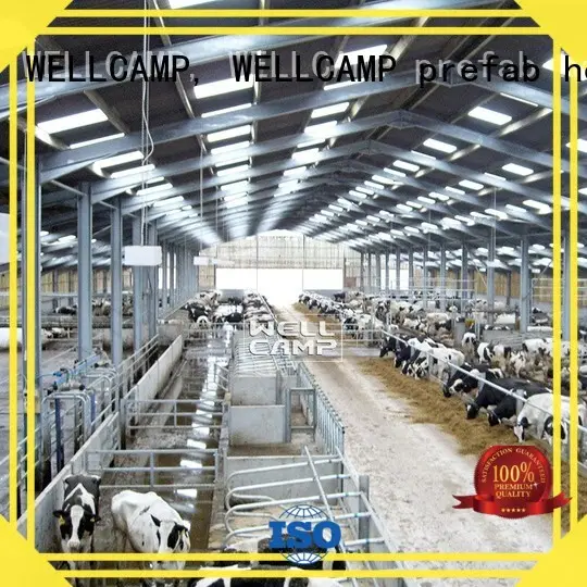 WELLCAMP, WELLCAMP prefab house, WELLCAMP container house Brand shed structure steel shed manufacture 1