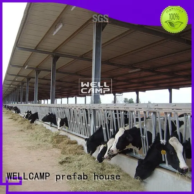 color structure wellcamp WELLCAMP, WELLCAMP prefab house, WELLCAMP container house Brand steel shed 1