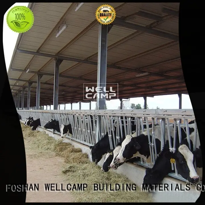 light steel structure steel shed shed WELLCAMP, WELLCAMP prefab house, WELLCAMP container house Brand 1